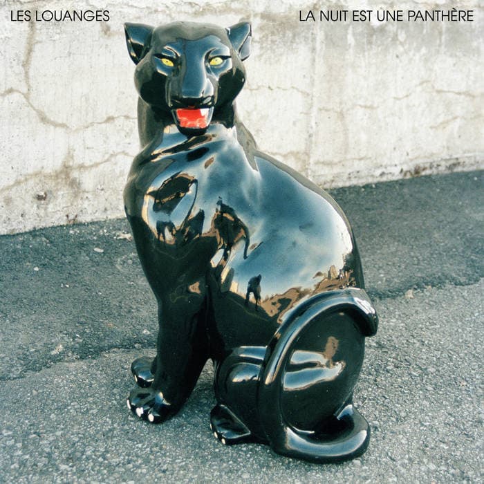 La nuit est une panthère – CD