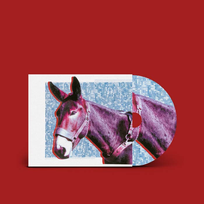Ultimate Success Today – Compact Disc