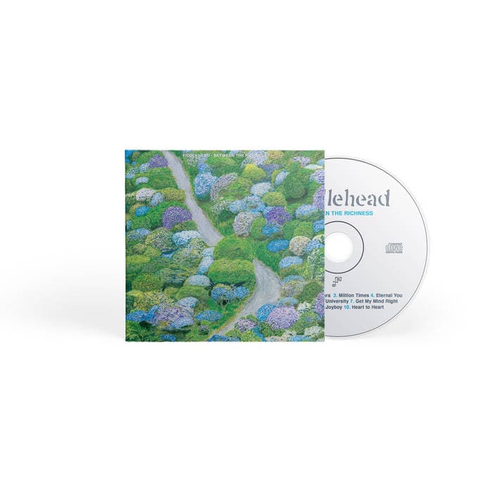 Between the Richness – CD