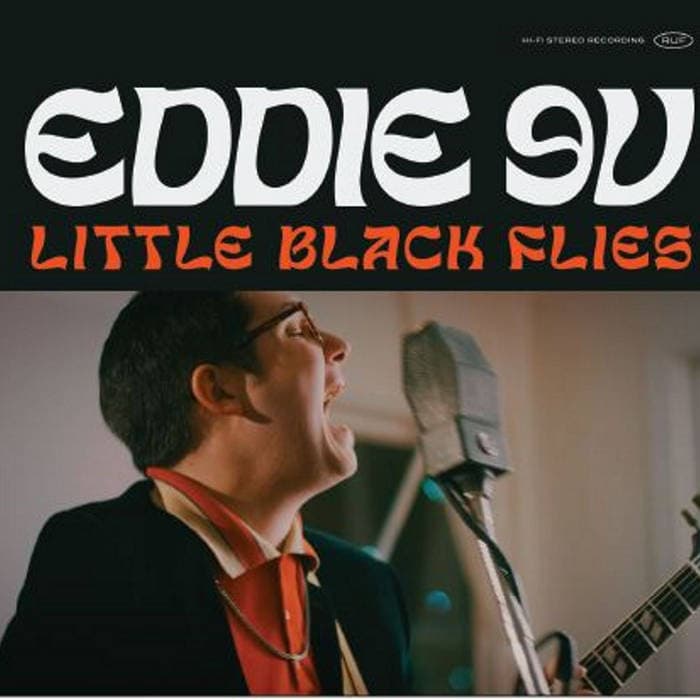 Little Black Flies – Eddie 9V 'Little Black Flies' compact disc