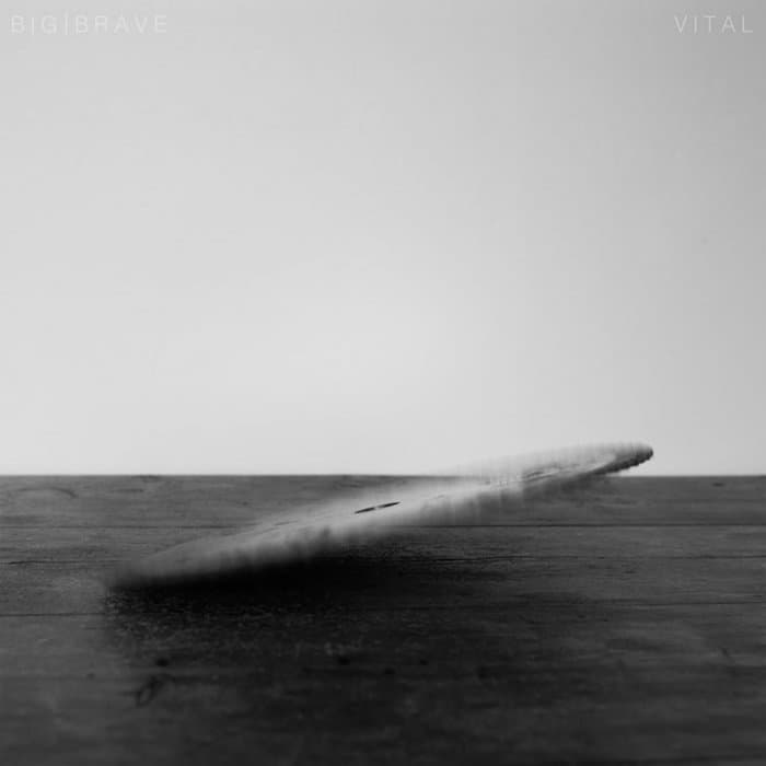 Vital – Compact Disc