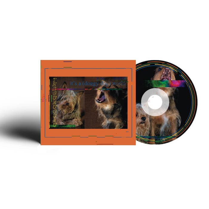 'it's a (doggy dog) world' – 'it's a (doggy dog) world' CD
