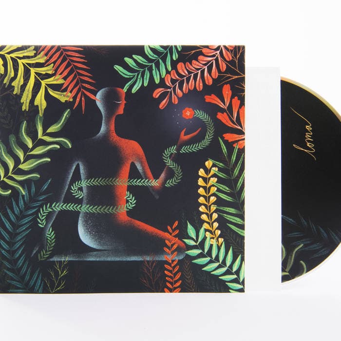 Don't Shy Away – CD