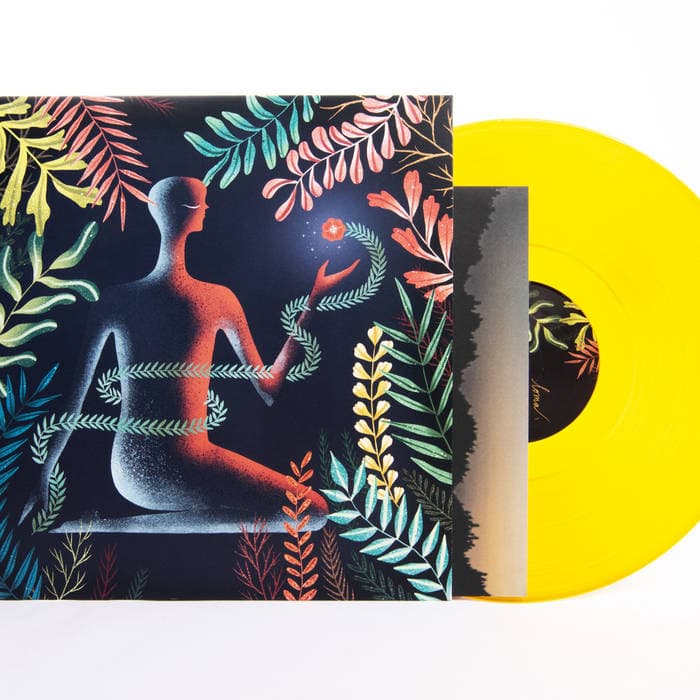 Don't Shy Away – Color LP