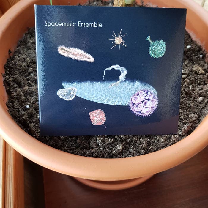 IS OKAY OKAY IS CERTIFIED – Compact Disc Spacemusic Ensemble