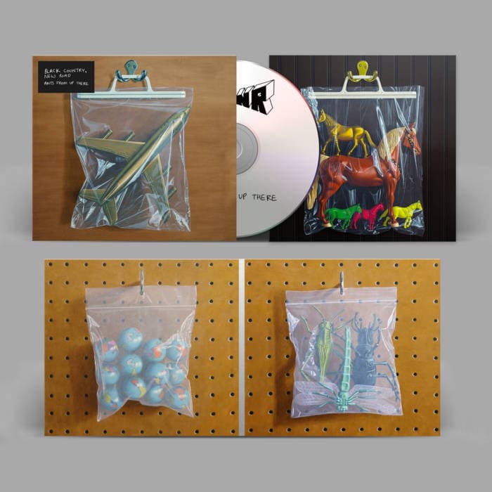 Ants From Up There – Black Country, New Road - 'Ants From Up There' CD [ZENCD278]