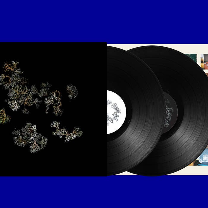 Return – Gatefold Vinyl Double LP