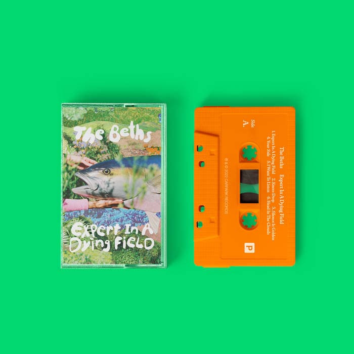 Expert In A Dying Field – Cassette