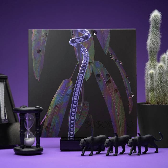 Pocualeíto – Limited Edition 12' Vinyl