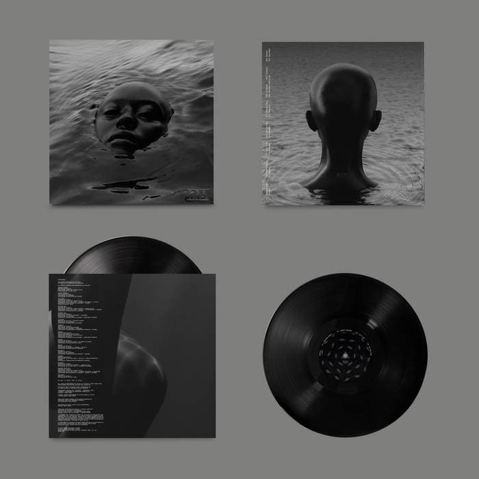 Raven – Black Vinyl