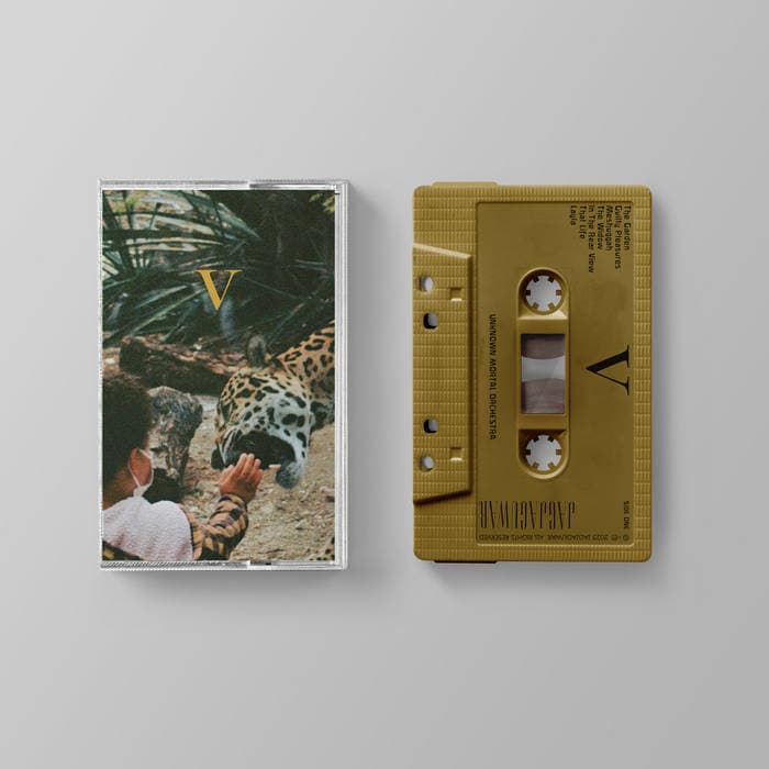 V – V / Cassette
