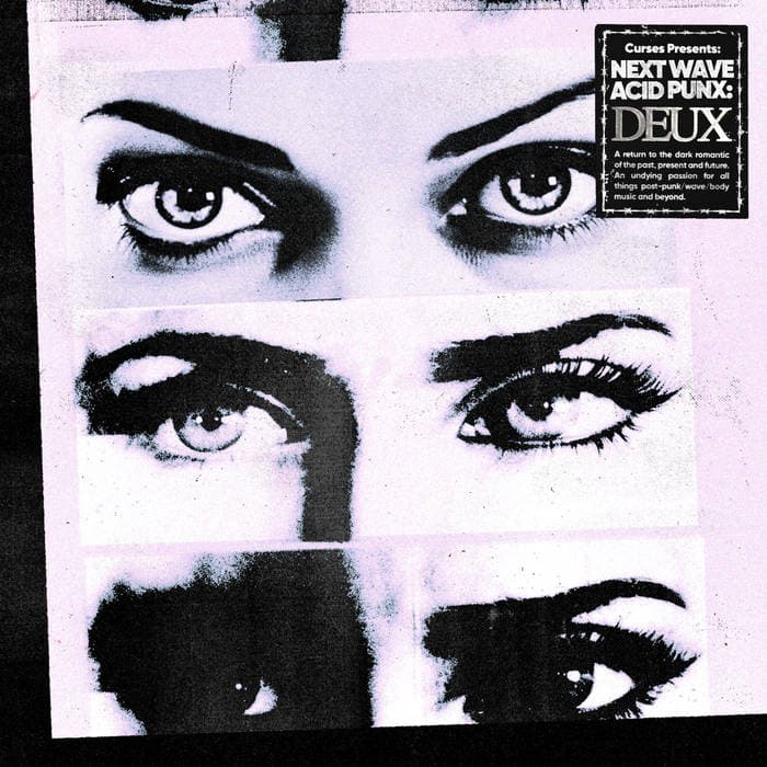 Next Wave Acid Punx DEUX – 3 CD Box
