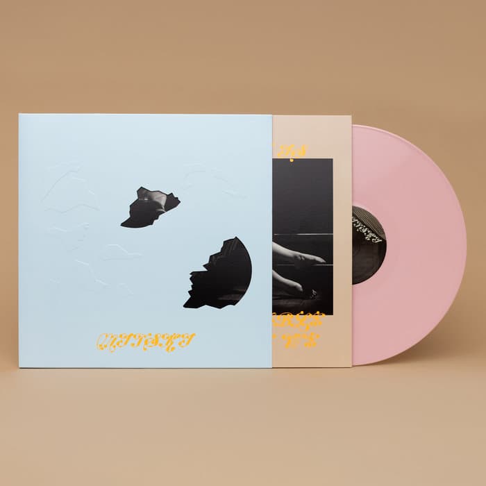 The Land Is Inhospitable and So Are We – Pink Aster Vinyl