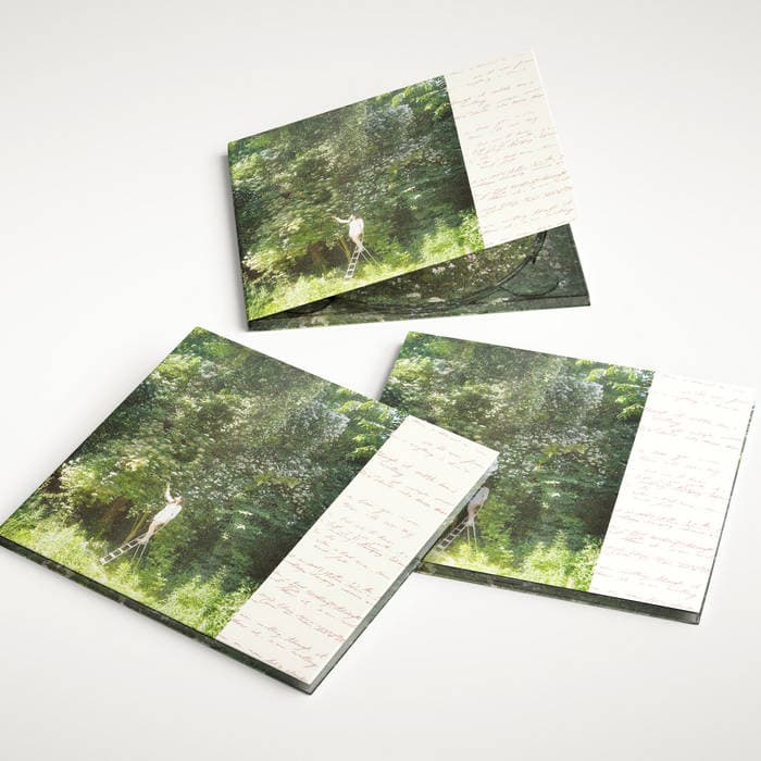 Sense & Nonsense – CD