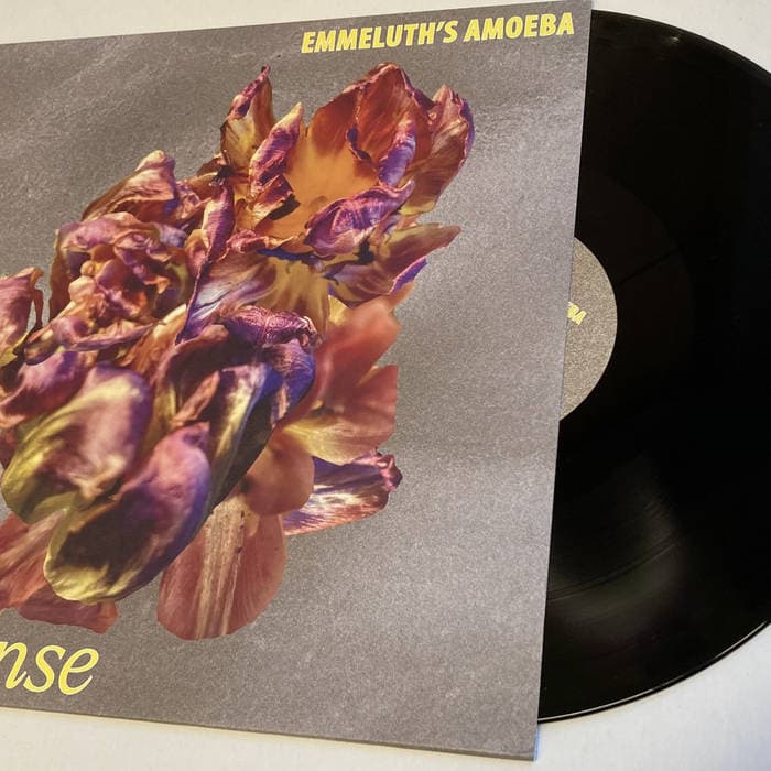 Nonsense – 180g Vinyl Emmeluth's Amoeba