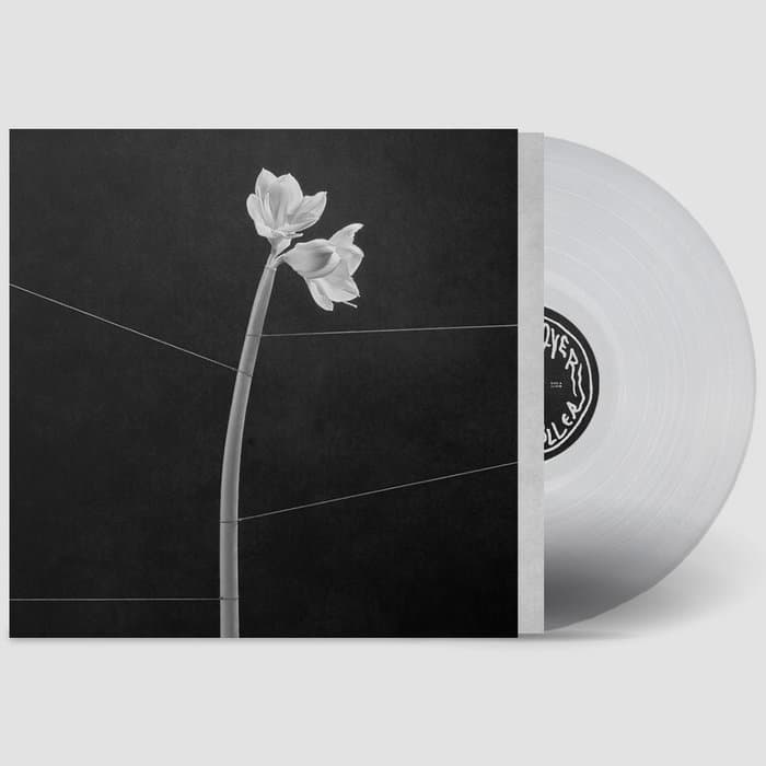 Dreamweaver – Vinyl LP