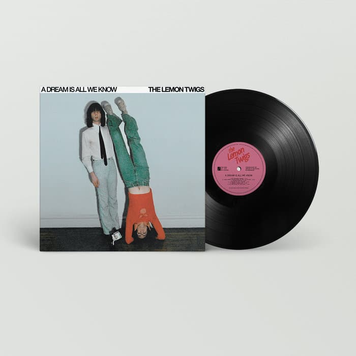 A Dream Is All We Know – Black Vinyl