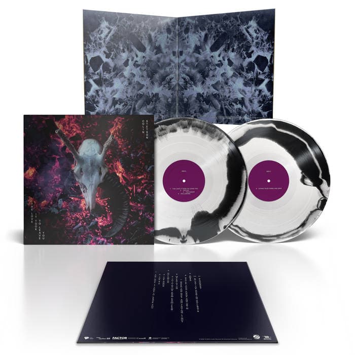 The love it took to leave you – Ltd Edition Exclusive 2 x Black & White Swirl Vinyl