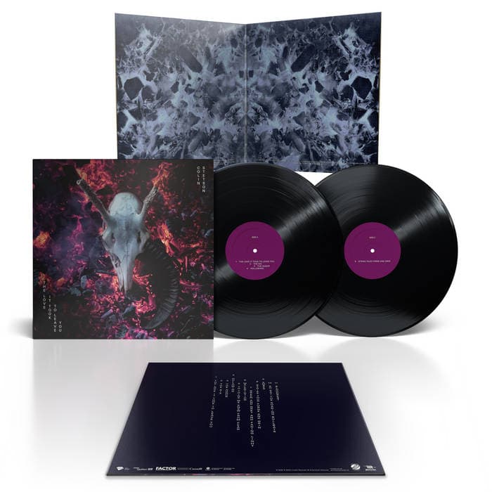The love it took to leave you – 2 x Black Vinyl