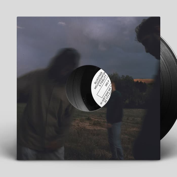 365 P – 365P Vinyl (Bluestaeb) Bluestaeb, Melodiesinfonie & S. Fidelity,