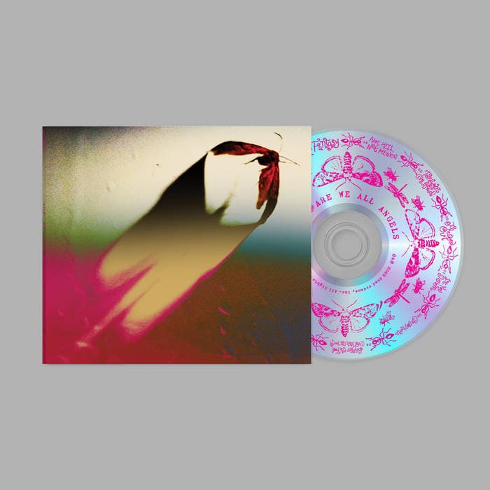 Are We All Angels – CD