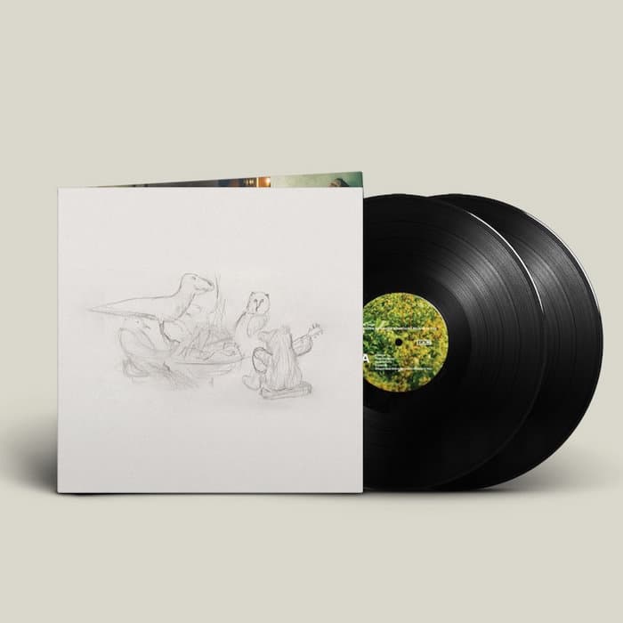 Dragon New Warm Mountain I Believe In You – Black 2LP