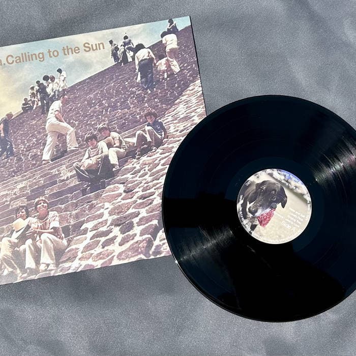 Calling to the Sun – 12" Vinyl Album