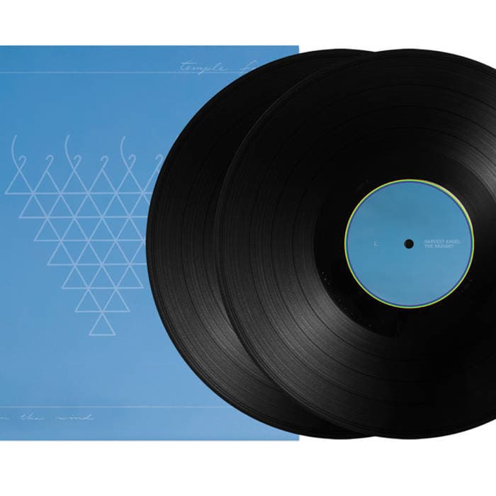 Lifted From The Wind – 2x Vinyl LP - Gatefold