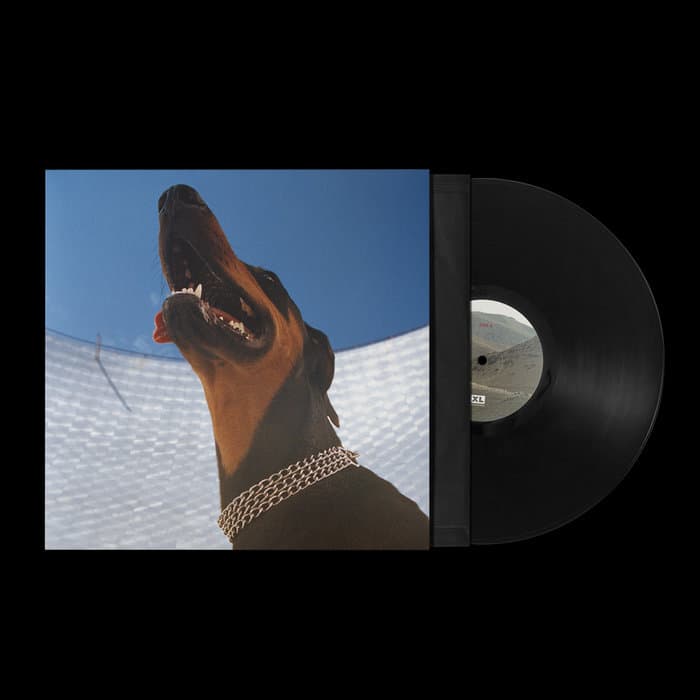 Good Lies – Black LP