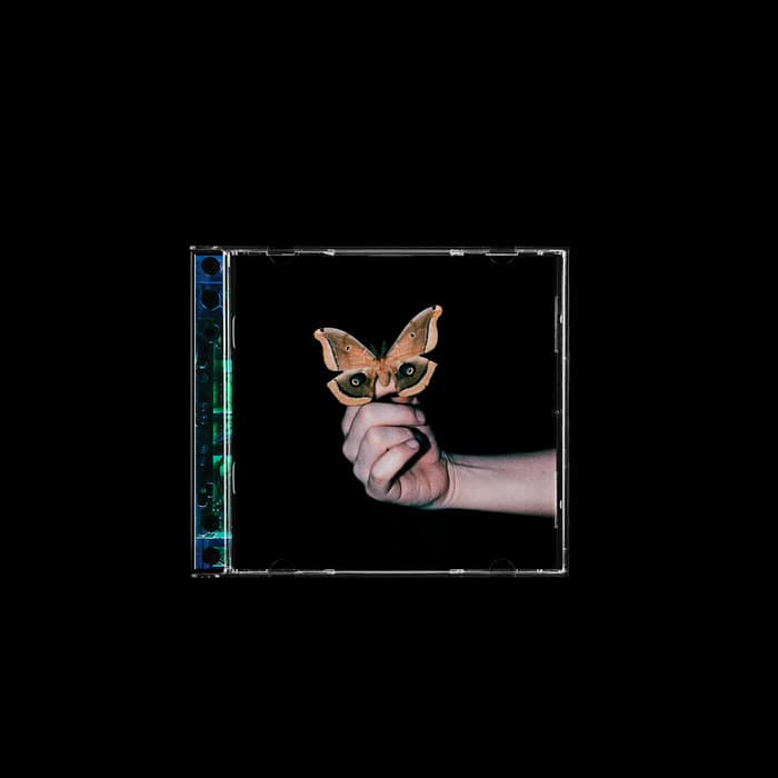 All Systems Are Lying – CD