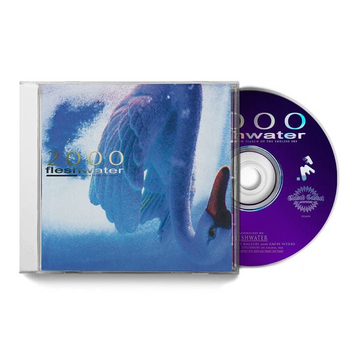 2000: In Search Of The Endless Sky – CD - Jewel Case