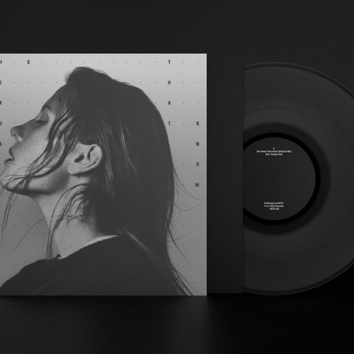The Heads That Know – 12" Vinyl