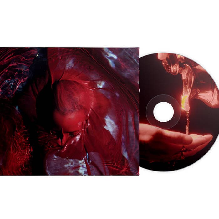 Not Here Not Gone – CD + DL