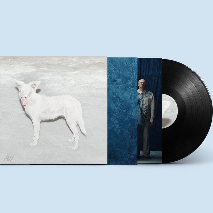 Malandra – 12" vinyl album