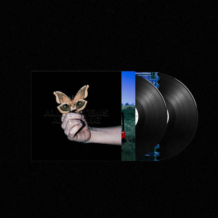 All Systems Are Lying – Double Black Vinyl