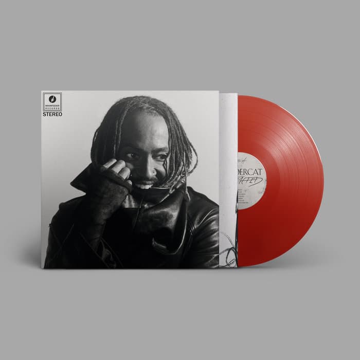 Distracted – Thundercat - 'Distracted' Standard LP [BF165]