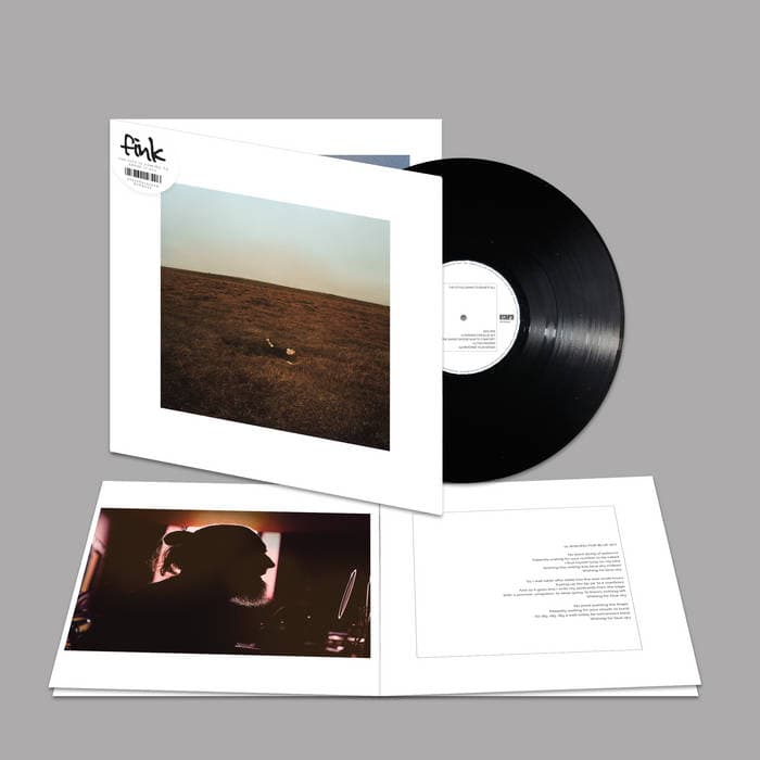 The City Is Coming To Erase It All – Black Vinyl LP