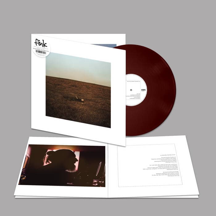 The City Is Coming To Erase It All – Winter Gorse Colour LP