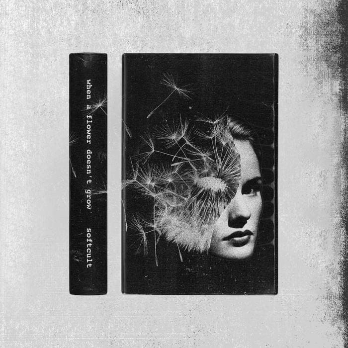 When A Flower Doesn't Grow – When A Flower Doesn’t Grow - Cassette (Mercedes)