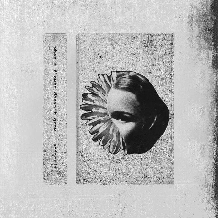 When A Flower Doesn't Grow – When A Flower Doesn’t Grow - Cassette (Phoenix)