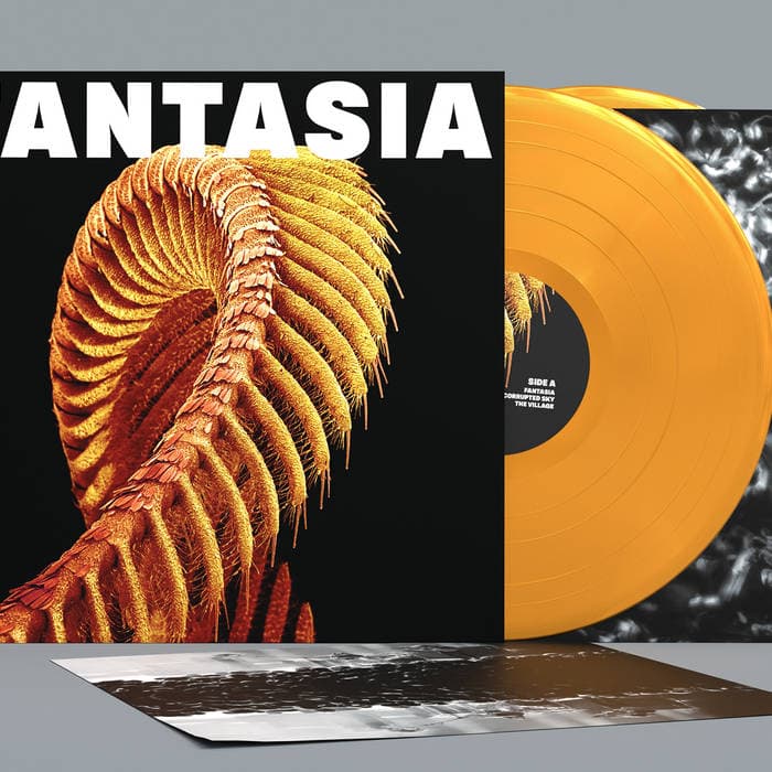 FANTASIA – Loser Edition 2xLP