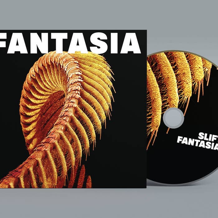 FANTASIA – CD