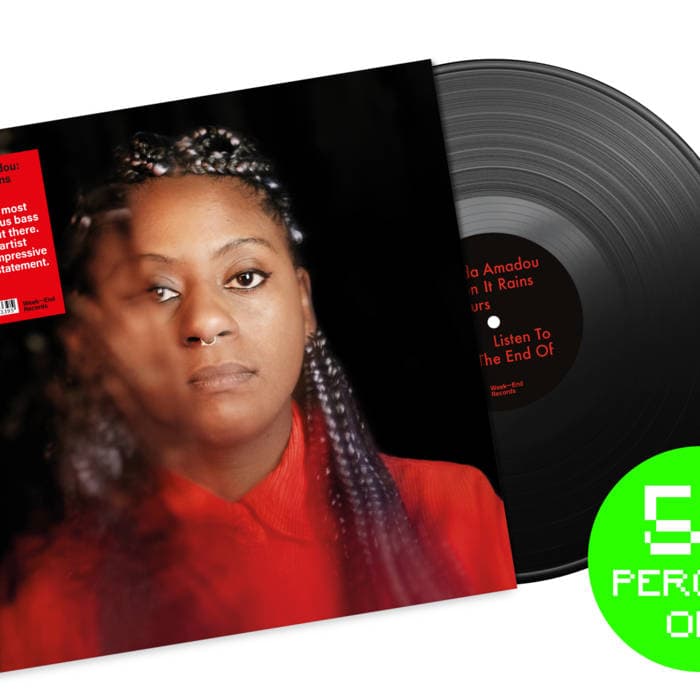 When It Rains It Pours – Vinyl 12" (WE12)
