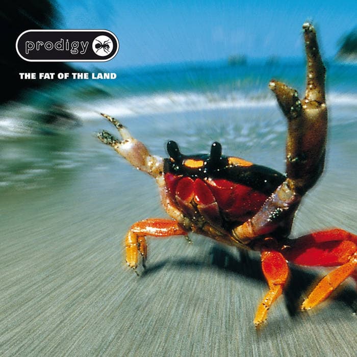 The Fat of the Land – Black 2LP