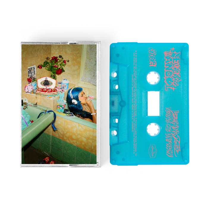 LOOKING FOR PEOPLE TO UNFOLLOW – LIMITED EDITION TURQUOISE SHELL CASSETTE