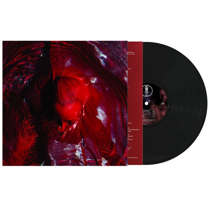 Not Here Not Gone – Standard Edition 180g Black Vinyl + DL