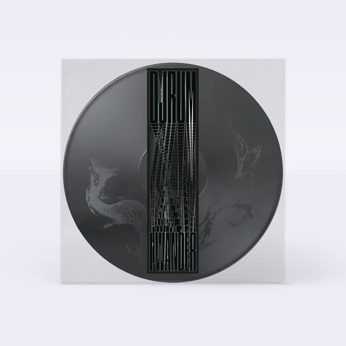 I Wander – 12" Etched Disk