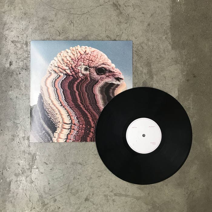 Bird Brains EP – 10" Vinyl