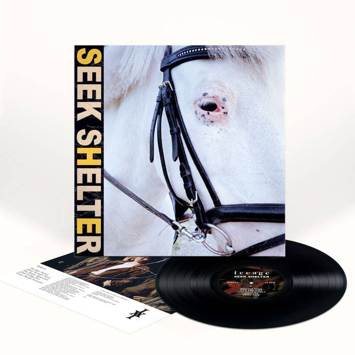Seek Shelter – Standard Black Vinyl
