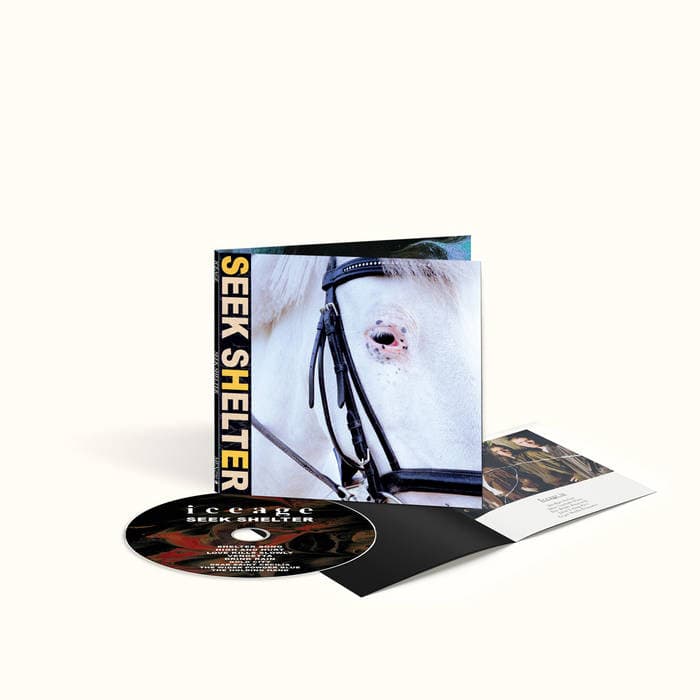 Seek Shelter – Standard CD